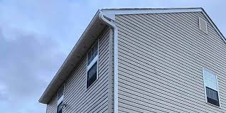 Best Custom Trim and Detailing for Siding  in Rehoboth Beach, DE